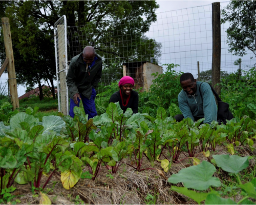 microfarming